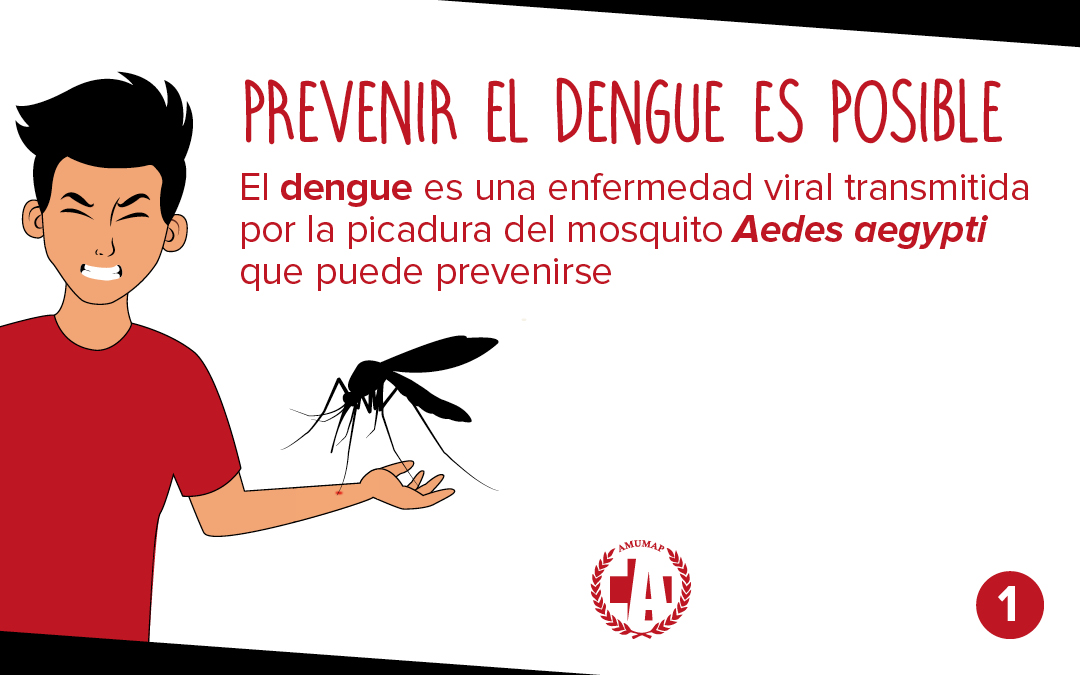 Prevención del dengue